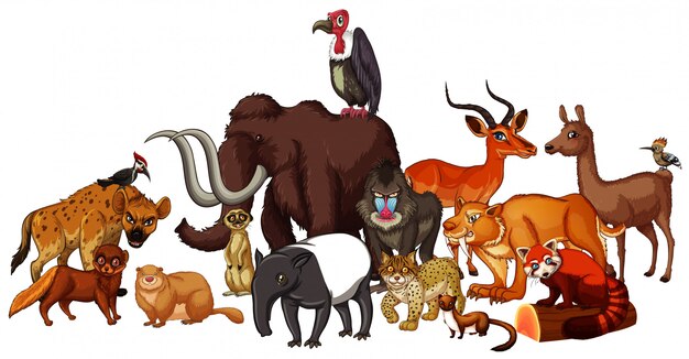 Cuadro aislado de animales salvajes