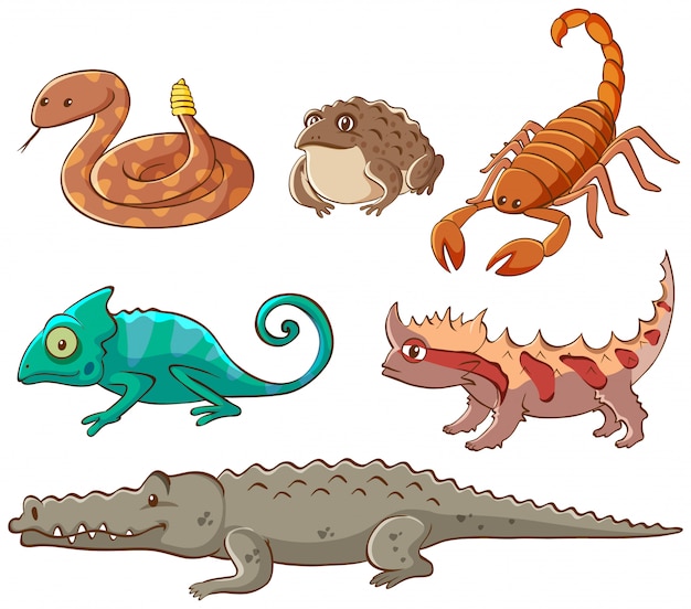 Cuadro aislado de animales venenosos