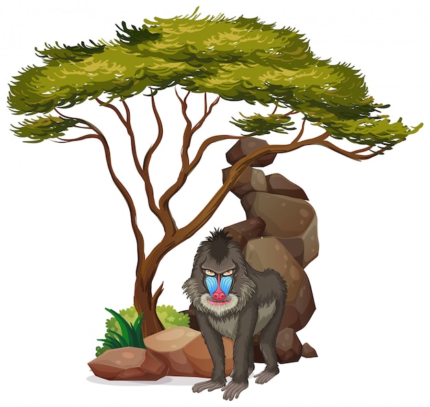 Cuadro aislado de babuino debajo del árbol