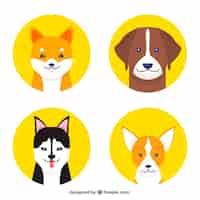 Vector gratuito cuatro círculos amarillos con perros de diferentes razas
