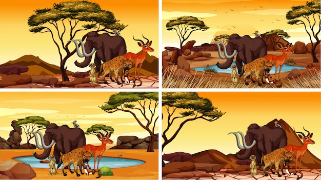 Vector gratuito cuatro escenas con animales africanos.