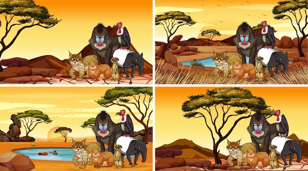 Cuatro escenas con animales en el campo.