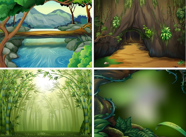 Cuatro escenas diferentes del bosque