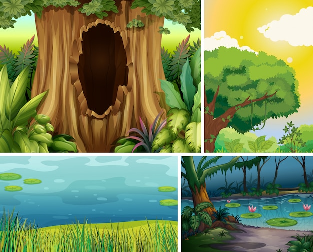 Cuatro escenas de naturaleza diferente de estilo de dibujos animados de bosque y pantano