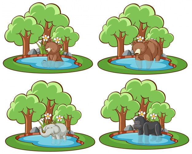 Cuatro escenas con osos y elefantes.