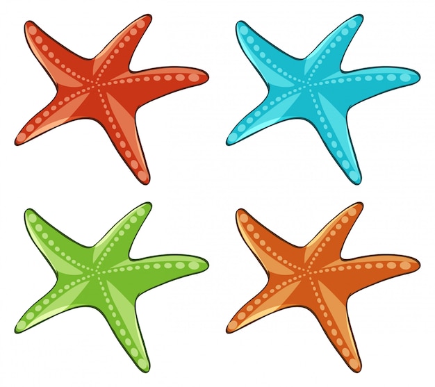 Cuatro estrellas de mar en diferentes colores.