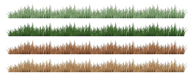 Cuatro juegos de hierba en diferentes colores.
