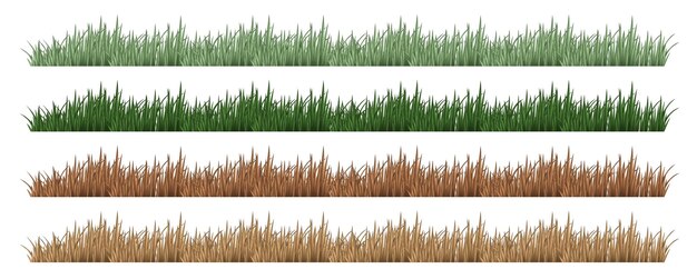 Cuatro juegos de hierba en diferentes colores.