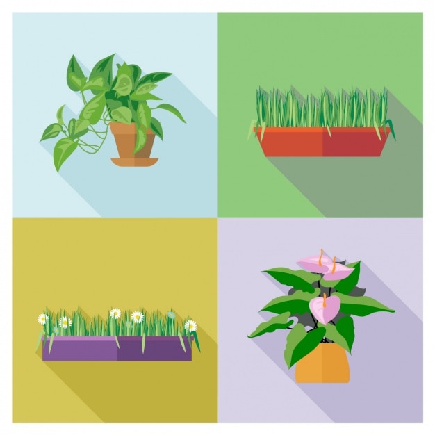 Vector gratuito cuatro macetas