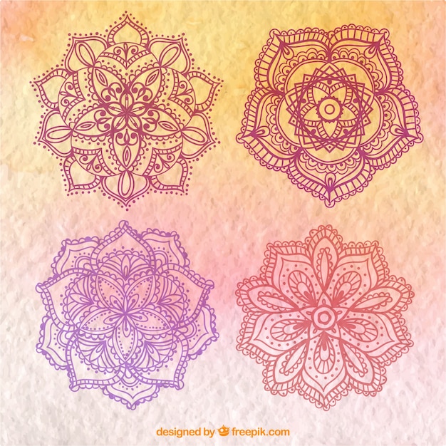 Cuatro mandalas florales dibujados a mano  