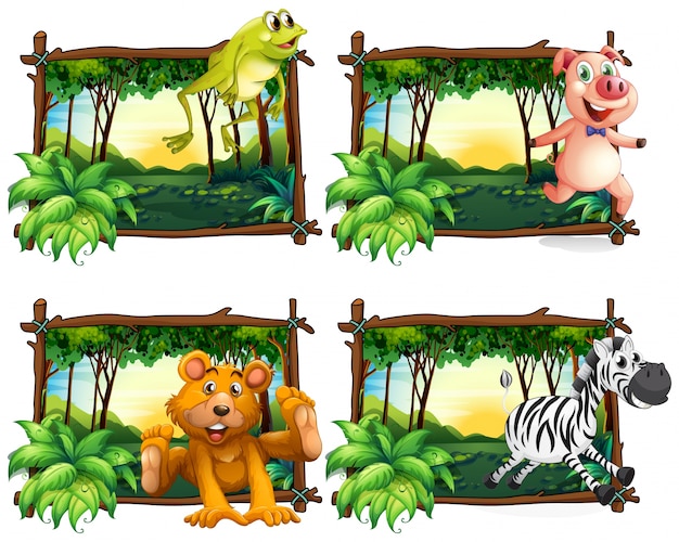 Vector gratuito cuatro marcos de animales salvajes en la selva ilustración
