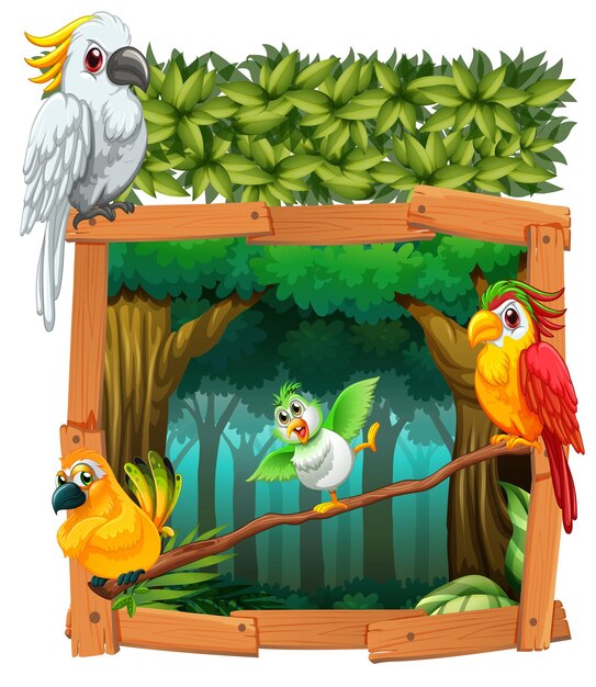Cuatro pájaros viviendo en la jungla.