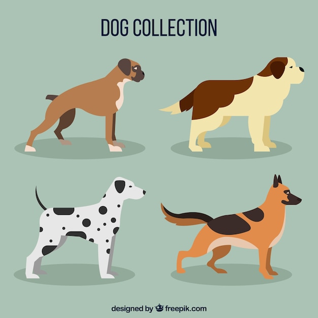 Cuatro perros de perfil en diseño plano 