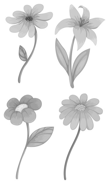 Cuatro tipos diferentes de flores.