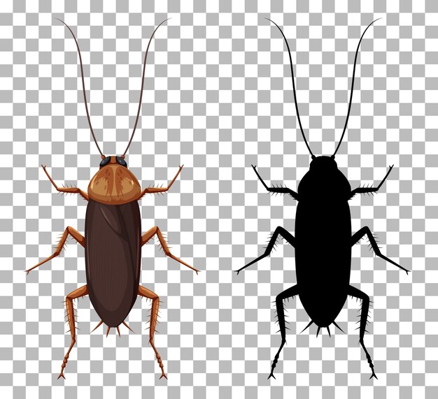 Cucaracha con su silueta aislada sobre fondo transparente
