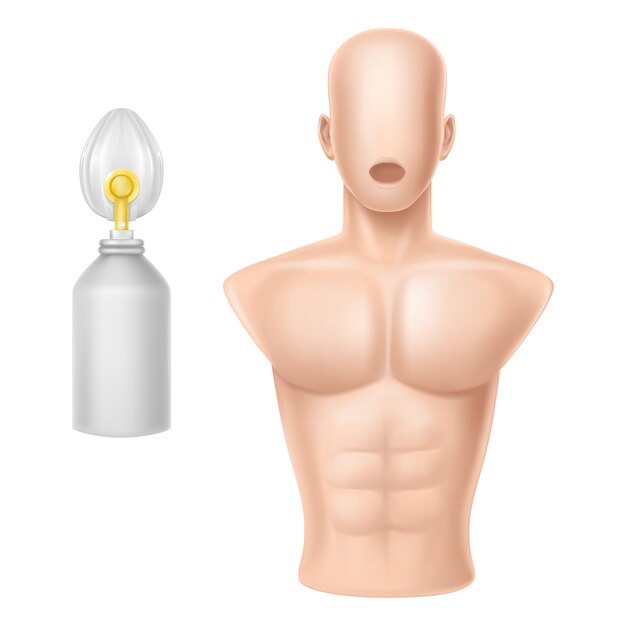 Cuerpo humano para entrenamiento de respiración artificial.