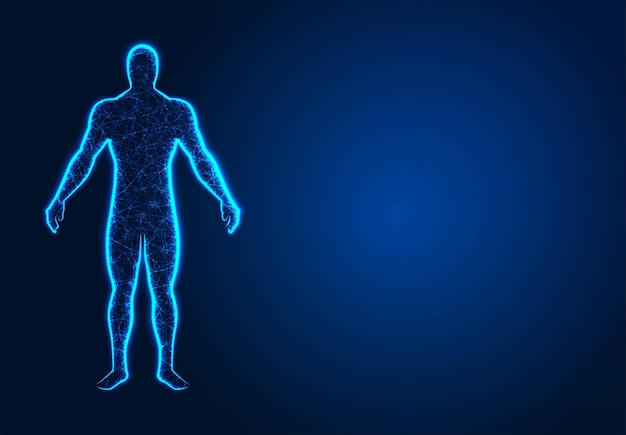 Cuerpo humano en realidad virtual Impresión azul médica modelo 3D escaneado Diseños polivinílicos bajos abstractos de estructura alámbrica de línea y punto Ilustración vectorial