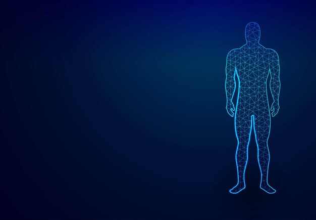 Cuerpo humano en realidad virtual Impresión azul médica Modelo 3D escaneado Resumen Diseño de malla de estructura alámbrica de baja poli Conexión de punto y línea Fondo de ilustración vectorial