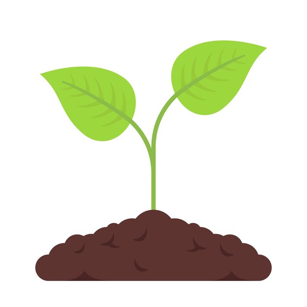El cultivo de plantas