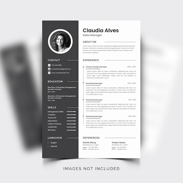 CV profesional moderno y minimalista