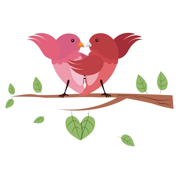 Dancing love birds Vector Premium