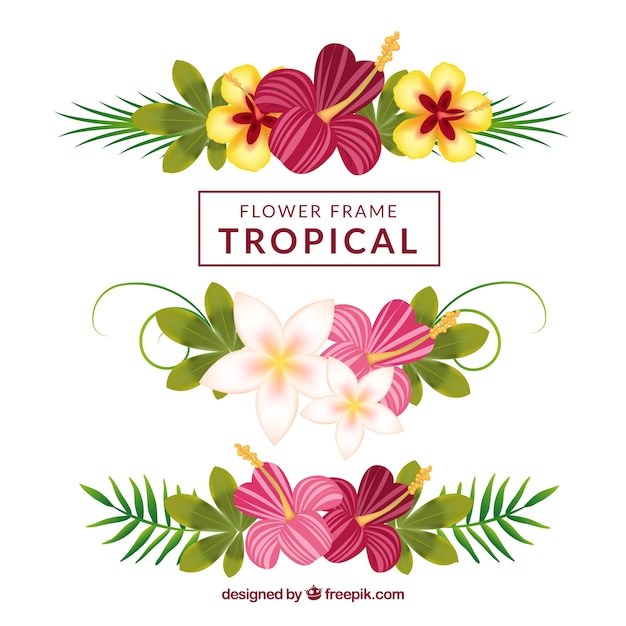 Vector gratuito decoración de flores tropicales