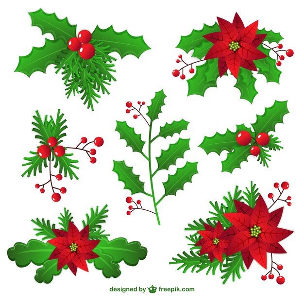 Decoración de muérdago navideño