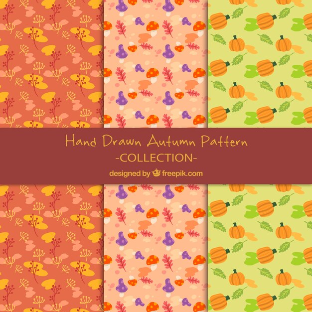 Decorativos patrones de otoño pintados a mano 