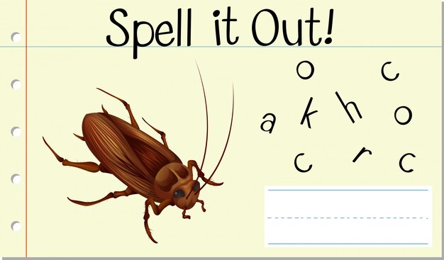 Deletrear palabra inglesa cucaracha