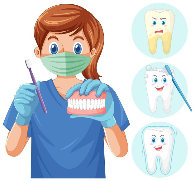 Dentista con cepillo de dientes y modelo de dientes humanos con diferentes