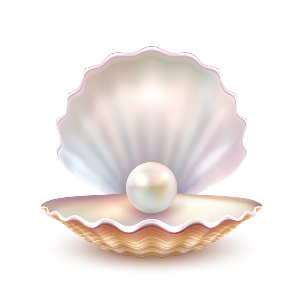 Detalle realista de concha de perla