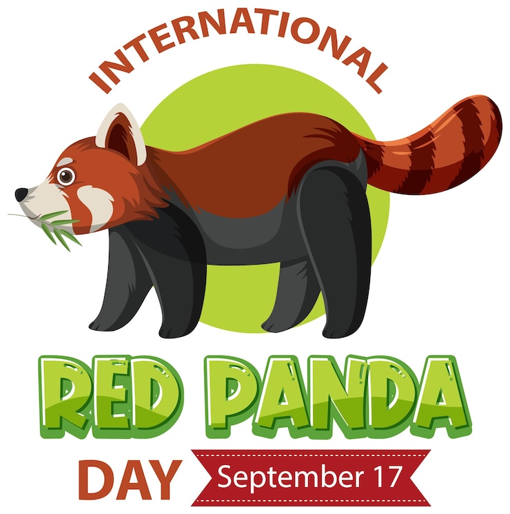 Vector gratuito día internacional del panda rojo el 17 de septiembre