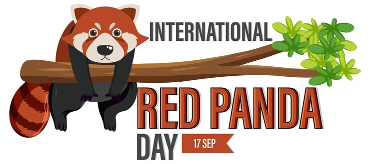 Vector gratuito día internacional del panda rojo