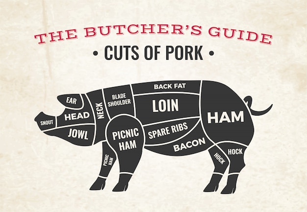 Diagrama de carnicería con silueta de cerdo y cortes de carne de cerdo en papel viejo