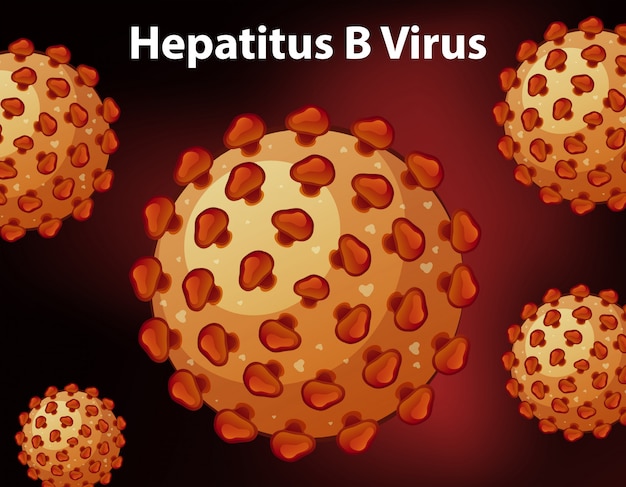 Diagrama de cerca para el virus hepatitus B