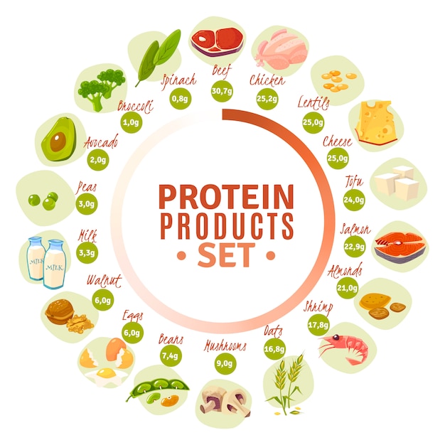 Vector gratuito diagrama de círculo plano de productos que contienen proteínas