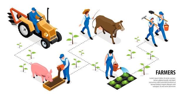 Diagrama de flujo de granjero isométrico