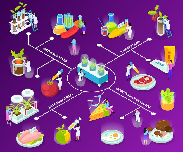 Diagrama de flujo isométrico de alimentos artificiales con científicos durante experimentos con ingredientes para comer en púrpura