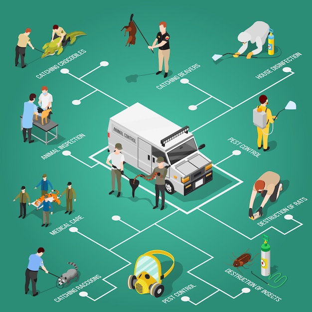 Vector gratuito diagrama de flujo isométrico de control de plagas