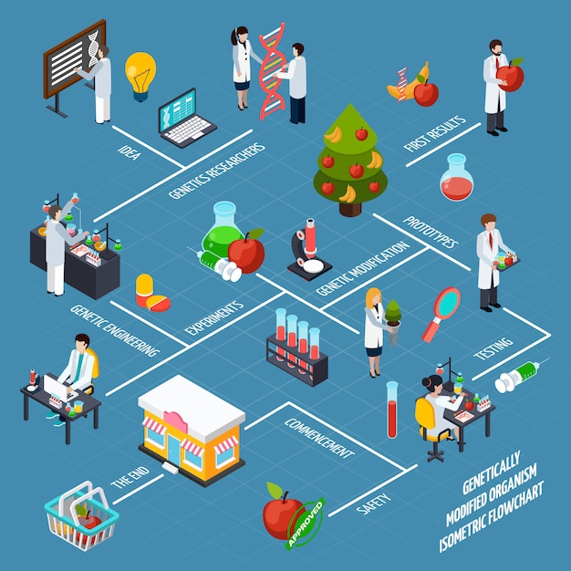 Vector gratuito diagrama de flujo isométrico de gmo