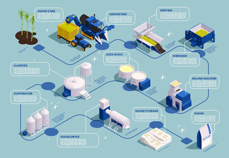 Vector gratuito diagrama de flujo isométrico de producción de azúcar con clasificación de cosecha clarificador evaporador trituradora fresadora elementos de secador de azúcar ilustración vectorial