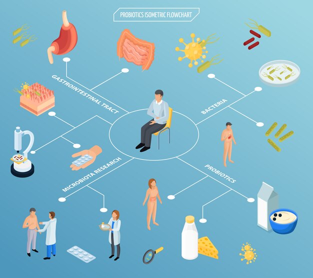 Diagrama de flujo isométrico de terapia probiótica