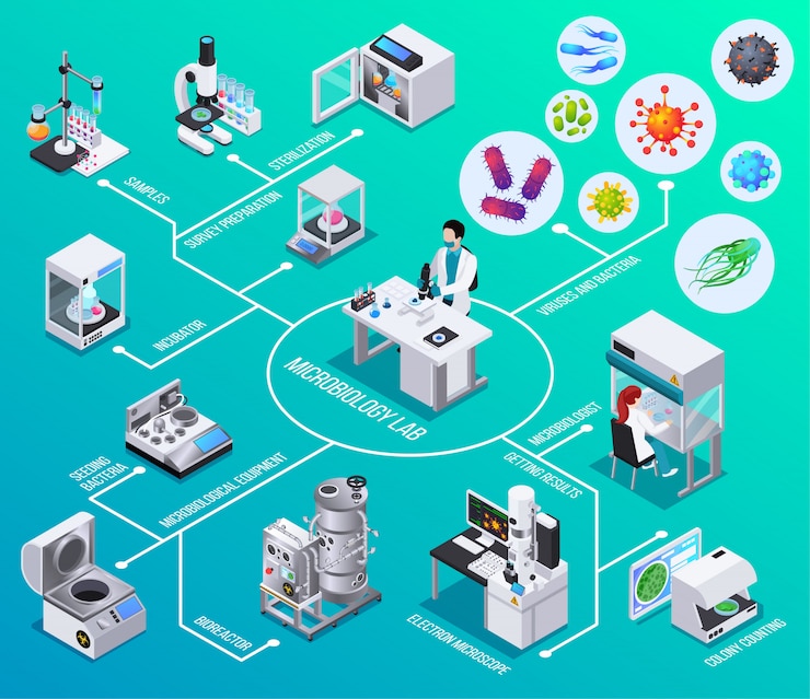 Vector gratuito diagrama de flujo de laboratorio de microbiología biorreactor microscopía electrónica sembrando bacterias contando colonias elementos isométricos