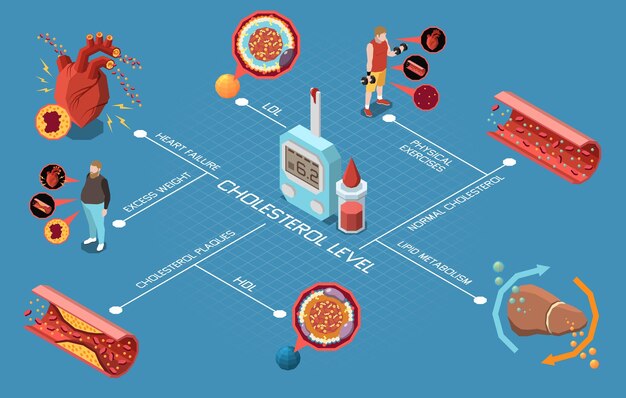 Diagrama de flujo del nivel de colesterol con pruebas de grasa buenas y malas ilustración vectorial