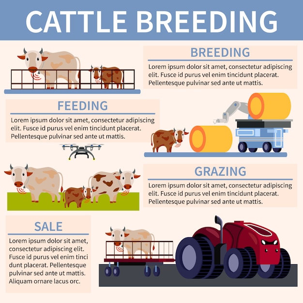 Vector gratuito diagrama de flujo plano ortogonal de agricultura inteligente