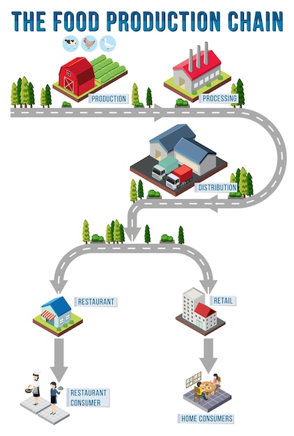 Diagrama de gestión de la cadena de suministro.