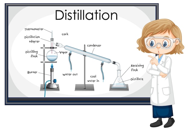 Vector gratuito diagrama del proceso de destilación para la educación con carácter científico.