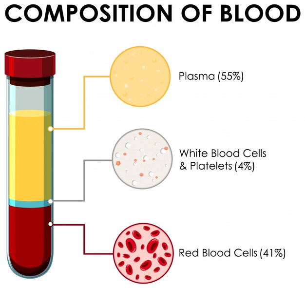 Diagrama que muestra la composición de la sangre.