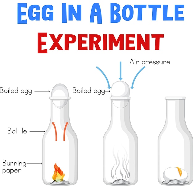 Vector gratuito diagrama que muestra el experimento con huevos