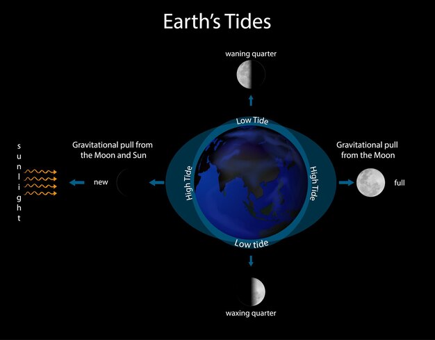 Diagrama que muestra la marea de la tierra.